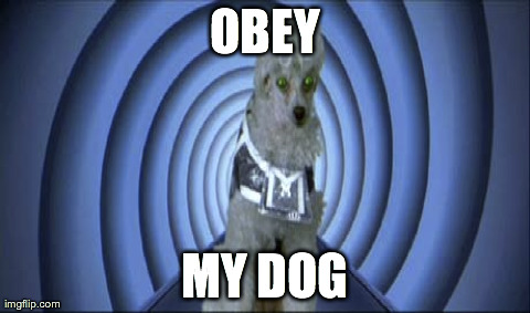 Obey the LSAT Dog